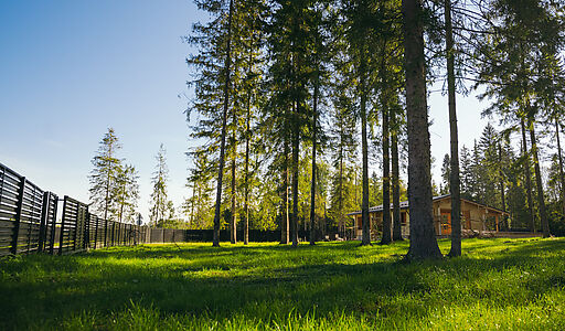 Лесной участок в КП Ели Эстейт