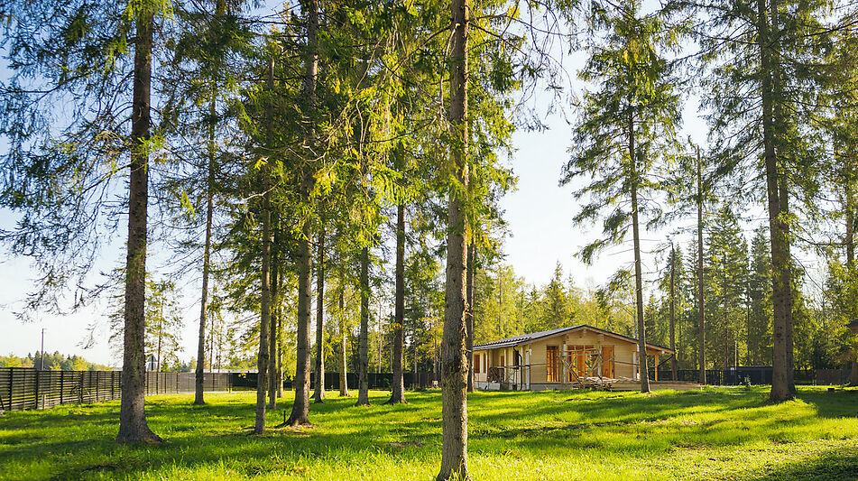 Лесной участок в КП Ели Эстейт