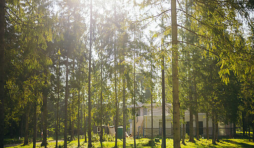 Лесной участок в КП Ели Эстейт