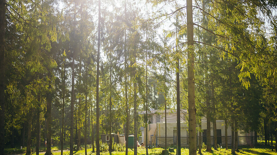 Лесной участок в КП Ели Эстейт