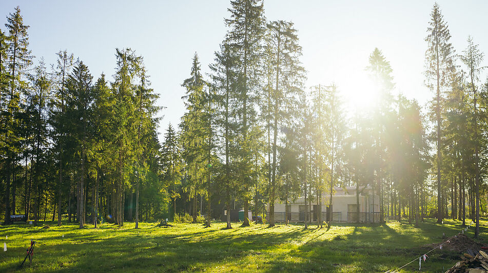 Лесной участок в КП Ели Эстейт