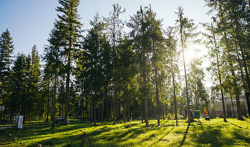 Лесной участок в КП Ели Эстейт