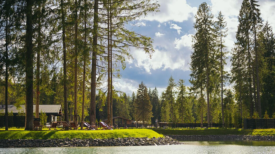 Лесной участок в КП Ели Эстейт