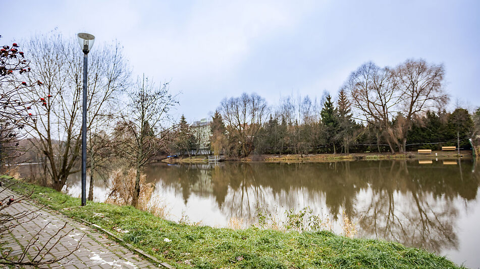 Дом в КП Чистые пруды