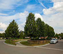 Уютный дом в Новых Вешках