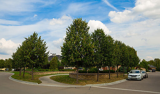 Уютный дом в Новых Вешках