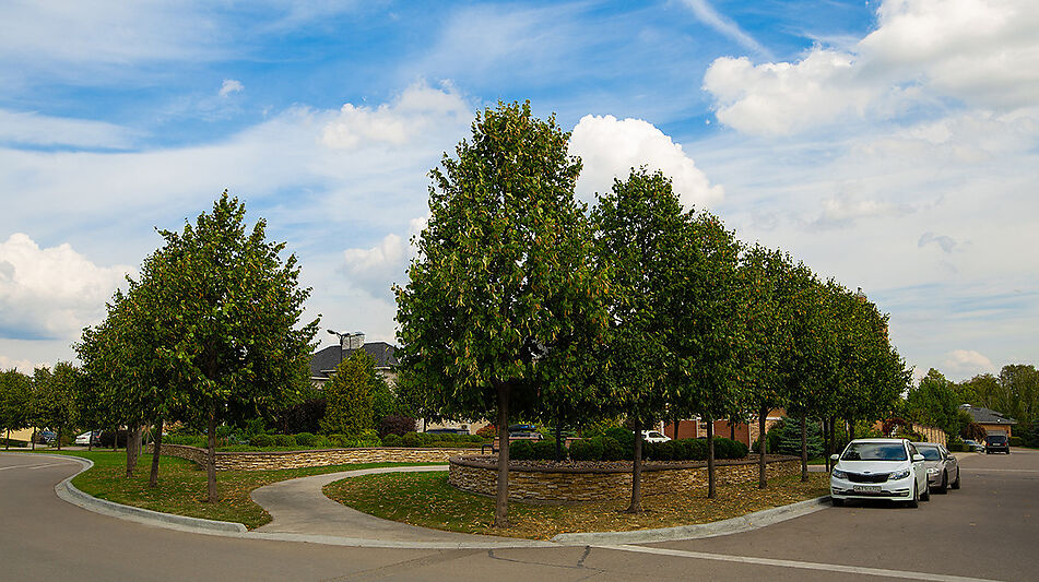 Уютный дом в Новых Вешках