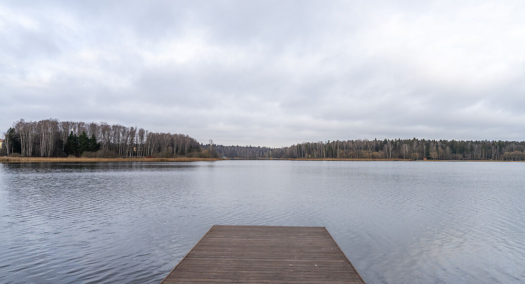 Среди своих