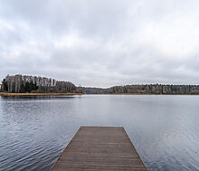 Среди своих