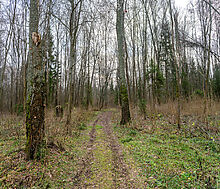 Среди своих