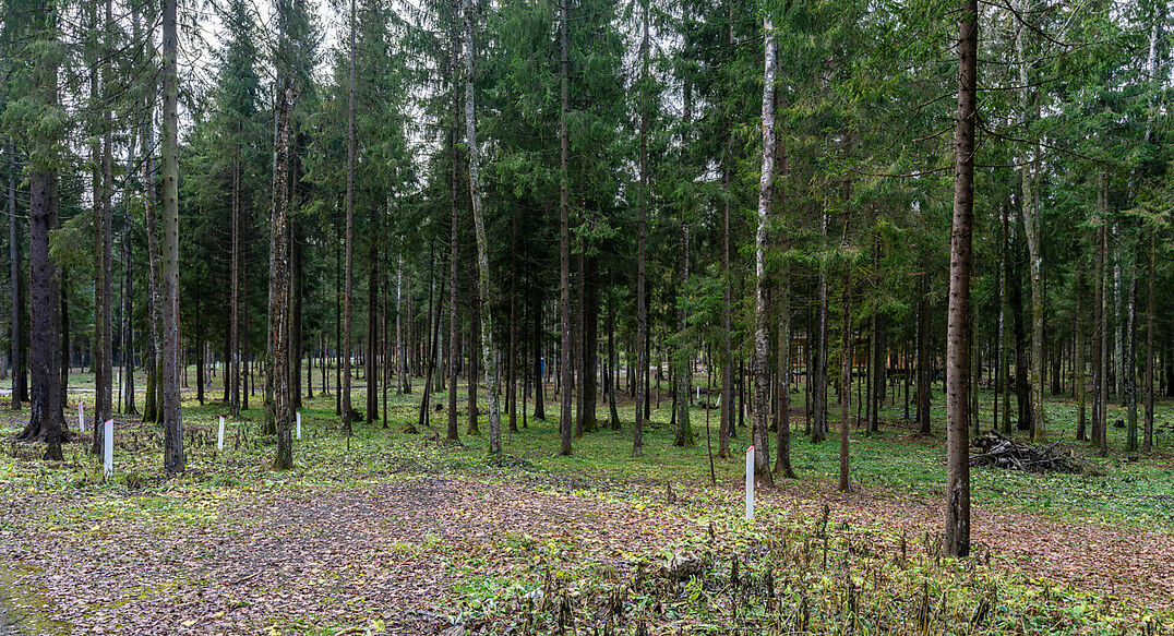 Среди своих