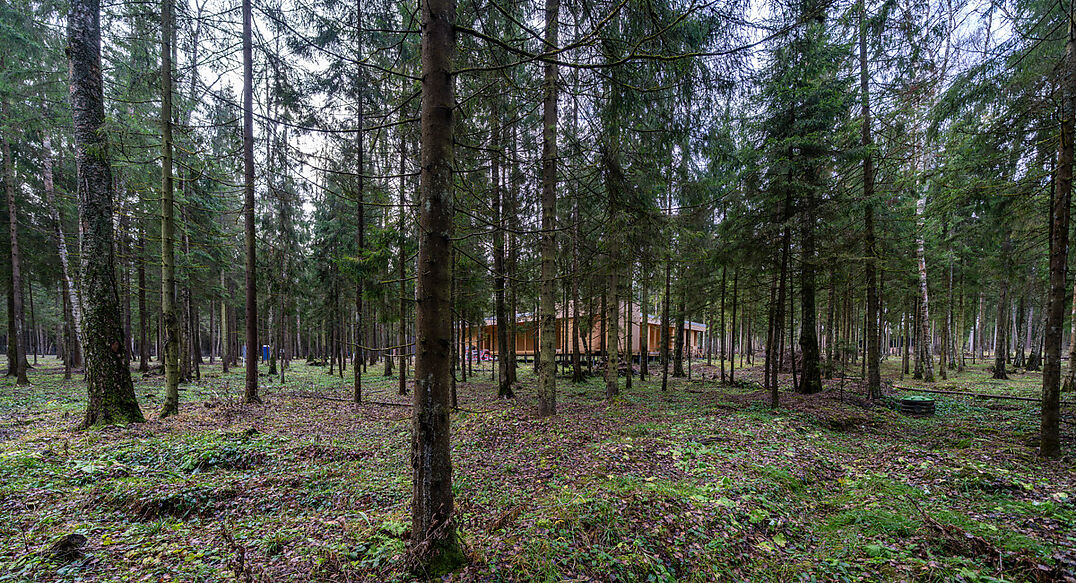 Среди своих