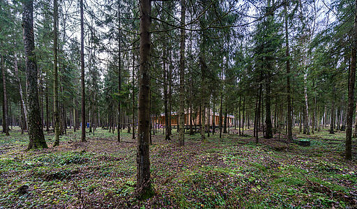 Среди своих