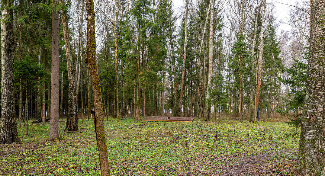 Среди своих