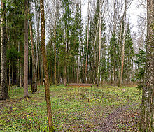 Среди своих