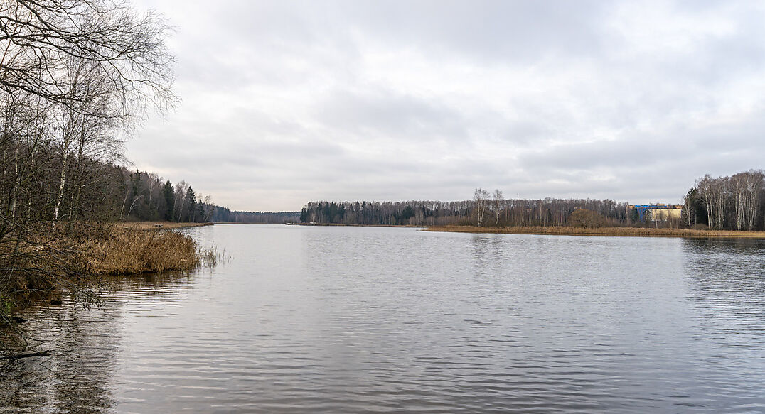 Среди своих