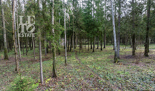 Участок в лесу КП Среди Своих