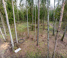 Участок в лесу КП Среди Своих