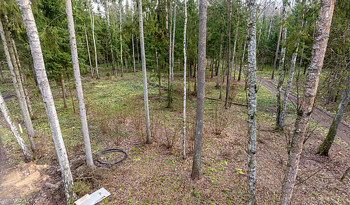 Участок в лесу КП Среди Своих