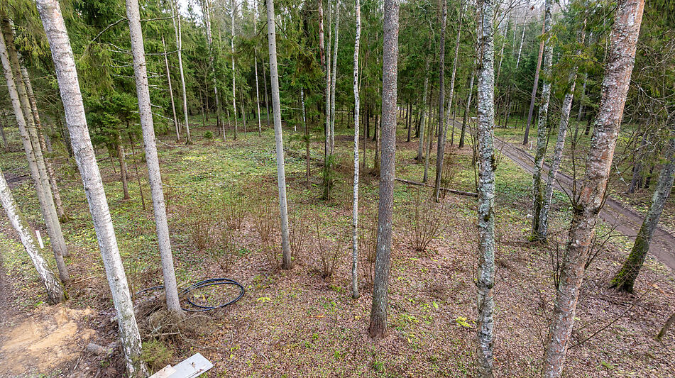 Участок в лесу КП Среди Своих