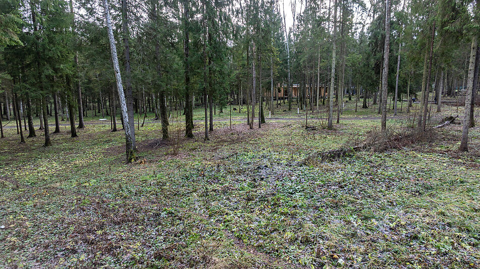 Участок в лесу КП Среди Своих