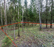 Участок в лесу КП Среди Своих