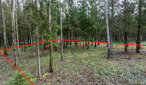 Участок в лесу КП Среди Своих