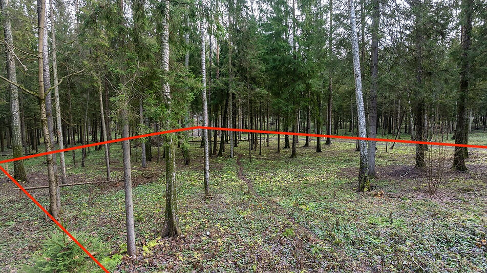 Участок в лесу КП Среди Своих