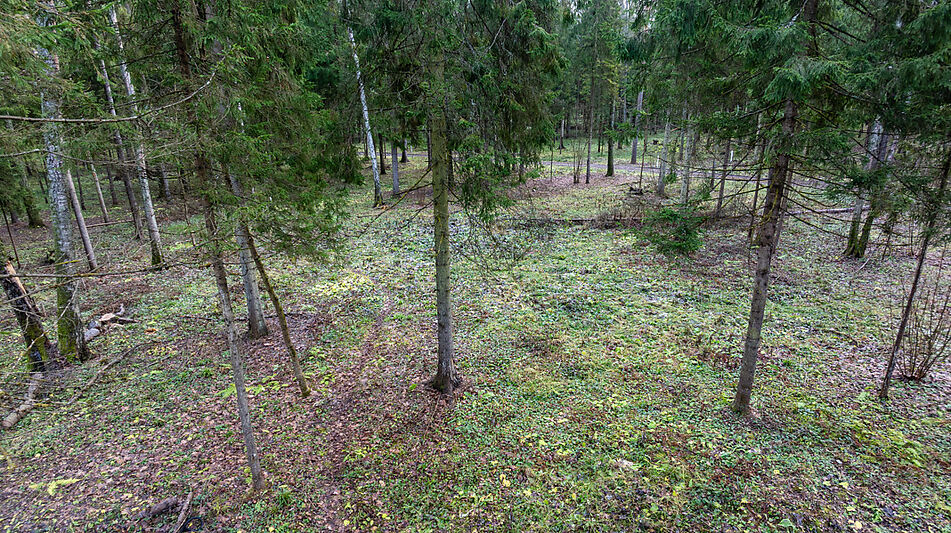 Участок в лесу КП Среди Своих