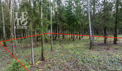 Участок в лесу КП Среди Своих