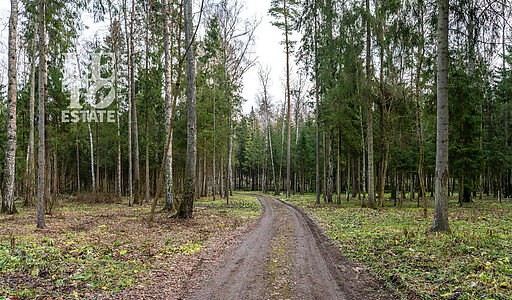 Участок в лесу КП Среди Своих