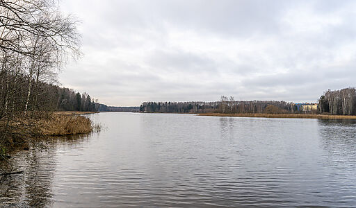 Участок в лесу КП Среди Своих