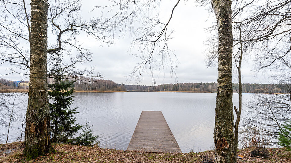 Участок в лесу КП Среди Своих