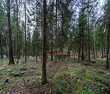 Участок в лесу КП Среди Своих