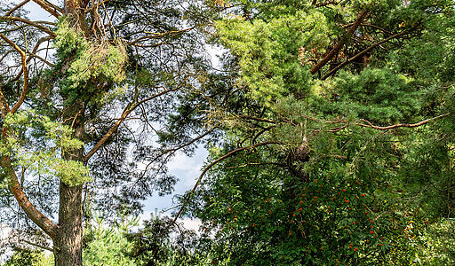 Участок в первой линии от воды