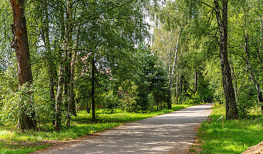 Участок в первой линии от воды