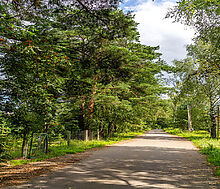 Участок в первой линии от воды