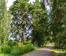 Участок в первой линии от воды