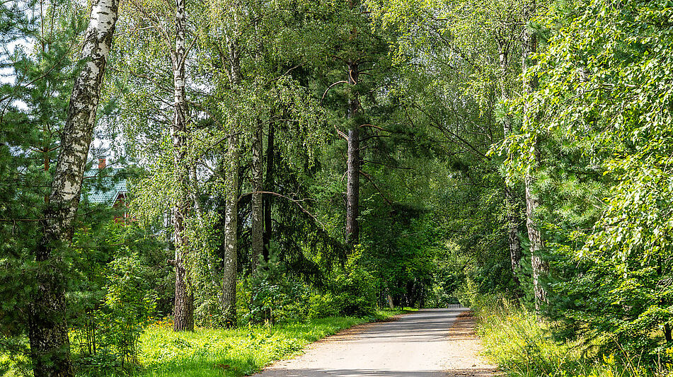 Участок в первой линии от воды