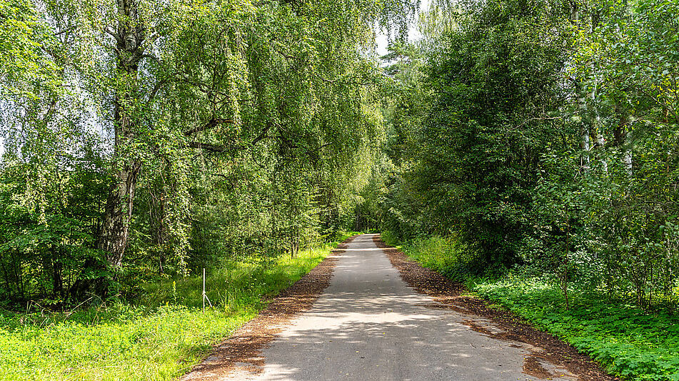 Участок в первой линии от воды
