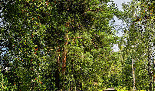 Участок в первой линии от воды