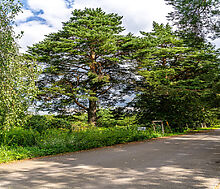 Участок в первой линии от воды