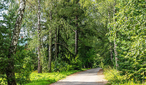 Участок в первой линии от воды