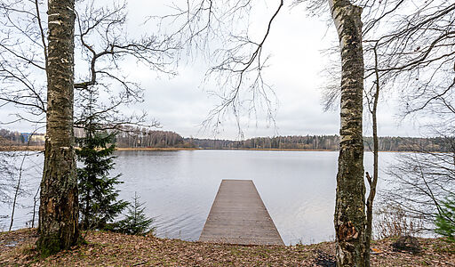Участок в лесу КП Среди Своих
