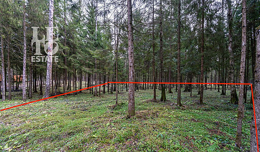 Участок в лесу КП Среди Своих