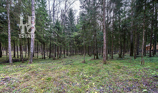 Участок в лесу КП Среди Своих