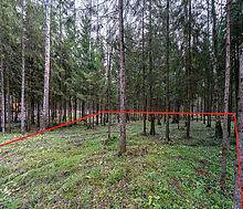 Участок в лесу КП Среди Своих