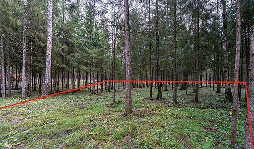 Участок в лесу КП Среди Своих