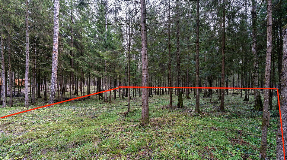 Участок в лесу КП Среди Своих