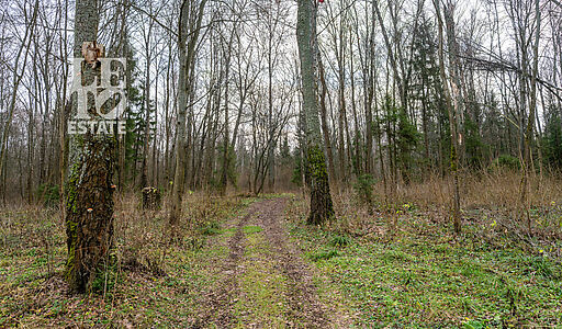 Участок в лесу КП Среди Своих